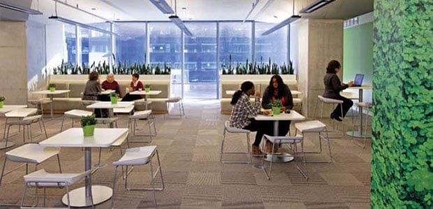 The Green Office Is Closer Than You Think