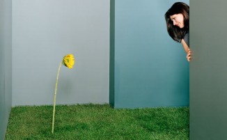 Sustainability and Wellness